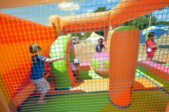 PHV_3592