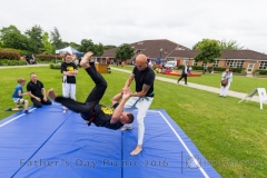 tomrydel.com-1-173