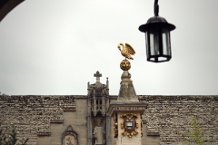 img_2799